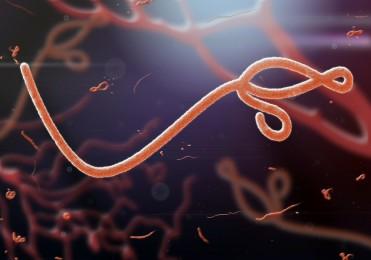 les-produits-biocides-capitaux-dans-la-lutte-contre-ebola
